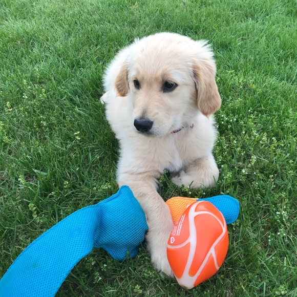 Meet your Posher, Kaylie - Picture 5 of 13